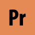 Print Icon